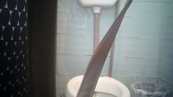 lady hidden cam hidden cam mature voyeur toilet public