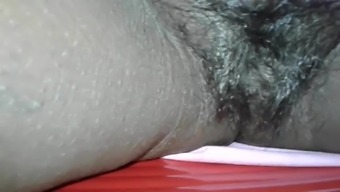 indian high definition hairy