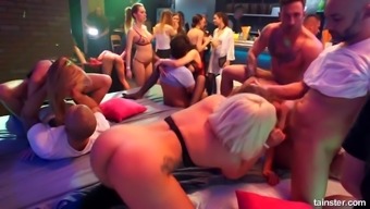 live fucking group orgy party pornstar public bisexual