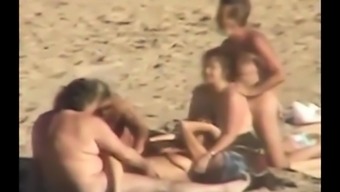 milf group brown orgy outdoor beach brunette amateur