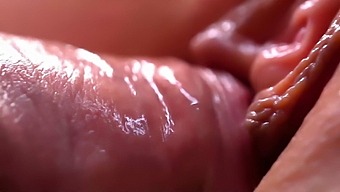 fucking sperm orgasm pussy close up cumshot extreme
