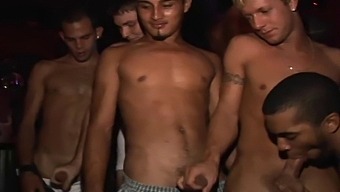 interracial gay fucking group orgy party drunk